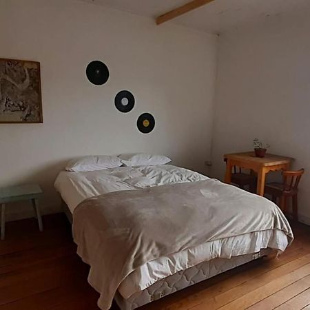 Casa Kila Hostel Valdivia Bagian luar foto